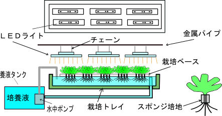 LED PLANT EXAMPLE